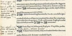 Fig. 6 : De Rudimetis hebraicis liber, par Johannes Reuchlin