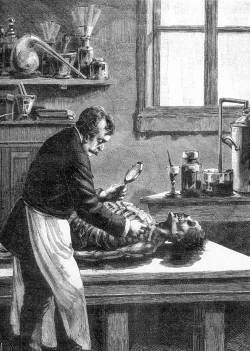 "Le docteur Lacassagne examine de nouveau le larynx de Gouffé" dans La Malle sanglante, par Jules de Grandpré