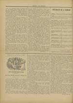 Le Journal de Guignol : illustré, politique, N°24, pp. 4
