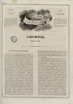 L'Epingle, N°43, pp. 1
