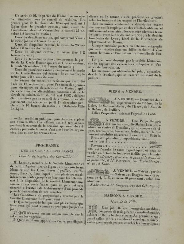 
						Affichage en mode lecture de la page
					