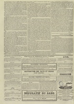 Le Censeur : journal de Lyon, politique, industriel et littéraire, N°2463, pp. 4