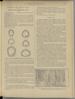 La Construction lyonnaise N°21, pp. 5