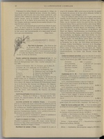 
							Miniature de la page 44