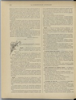 La Construction lyonnaise N°17, pp. 8