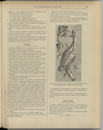 
							Miniature de la page 127