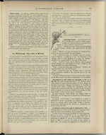 
							Miniature de la page 185