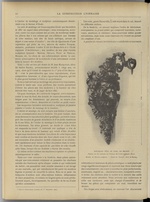 La Construction lyonnaise N°4, pp. 6