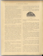 La Construction lyonnaise N°15, pp. 6