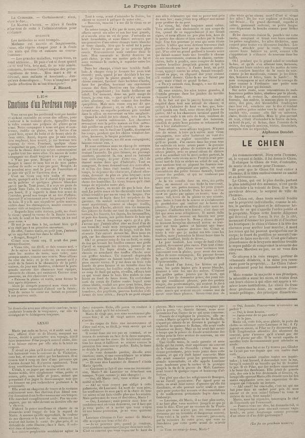 
						Affichage en mode lecture de la page
					