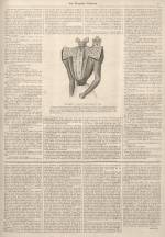 
							Miniature de la page 5