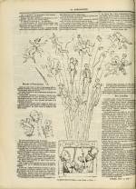 
							Miniature de la page 4