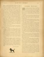 
							Miniature de la page 241