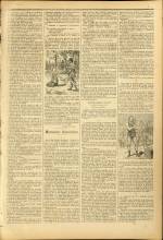 
							Miniature de la page 3