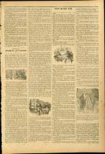 
							Miniature de la page 3