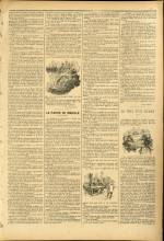 
							Miniature de la page 3