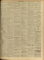 
							Miniature de la page 3