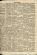 
							Miniature de la page 3