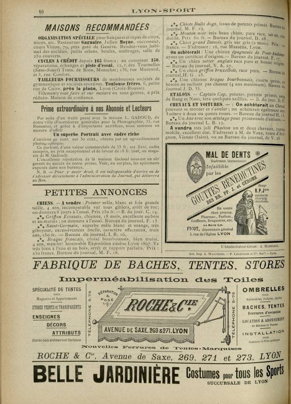 
						Affichage en mode lecture de la page
					