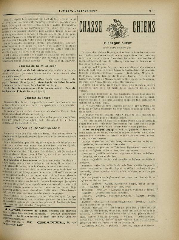 
						Affichage en mode lecture de la page
					