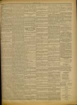 Le Bavard de Lyon, N°21, pp. 3