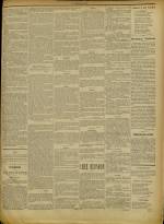 Le Bavard de Lyon, N°35, pp. 3