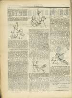 La Marionnette : n°5, pp. 2