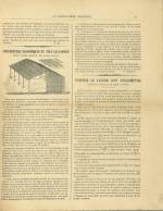 n°3, pp. 5