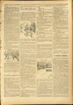 n°20, pp. 3
