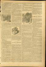 n°43, pp. 3