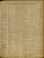 LE NOUVEAU LYON : n°19, pp. 3