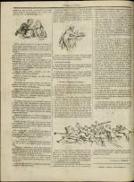 n°52, pp. 4