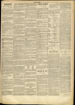n�33, pp. 3