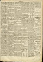 n�36, pp. 3