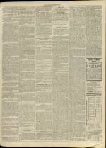 n�207, pp. 3