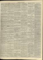 n�241, pp. 3