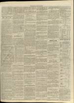n�246, pp. 3