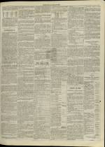 n�255, pp. 3