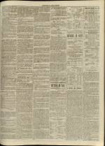 LE JOURNAL DE LYON : n°343, pp. 3