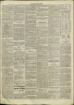 LE JOURNAL DE LYON : n°181, pp. 3