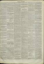 LE JOURNAL DE LYON : n°195, pp. 3