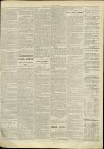 LE JOURNAL DE LYON : n°207, pp. 3