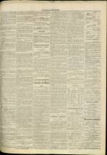 JOURNAL DE LYON : n°291, pp. 3