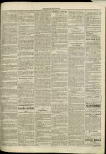 JOURNAL DE LYON : n°303, pp. 3