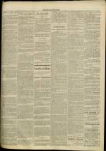 JOURNAL DE LYON : n°325, pp. 3