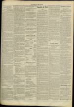JOURNAL DE LYON : n°333, pp. 3