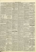 JOURNAL DE LYON : n°96, pp. 3