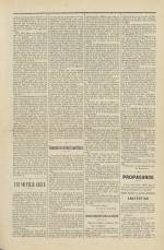 LE DRAPEAU NOIR : n°6, pp. 3